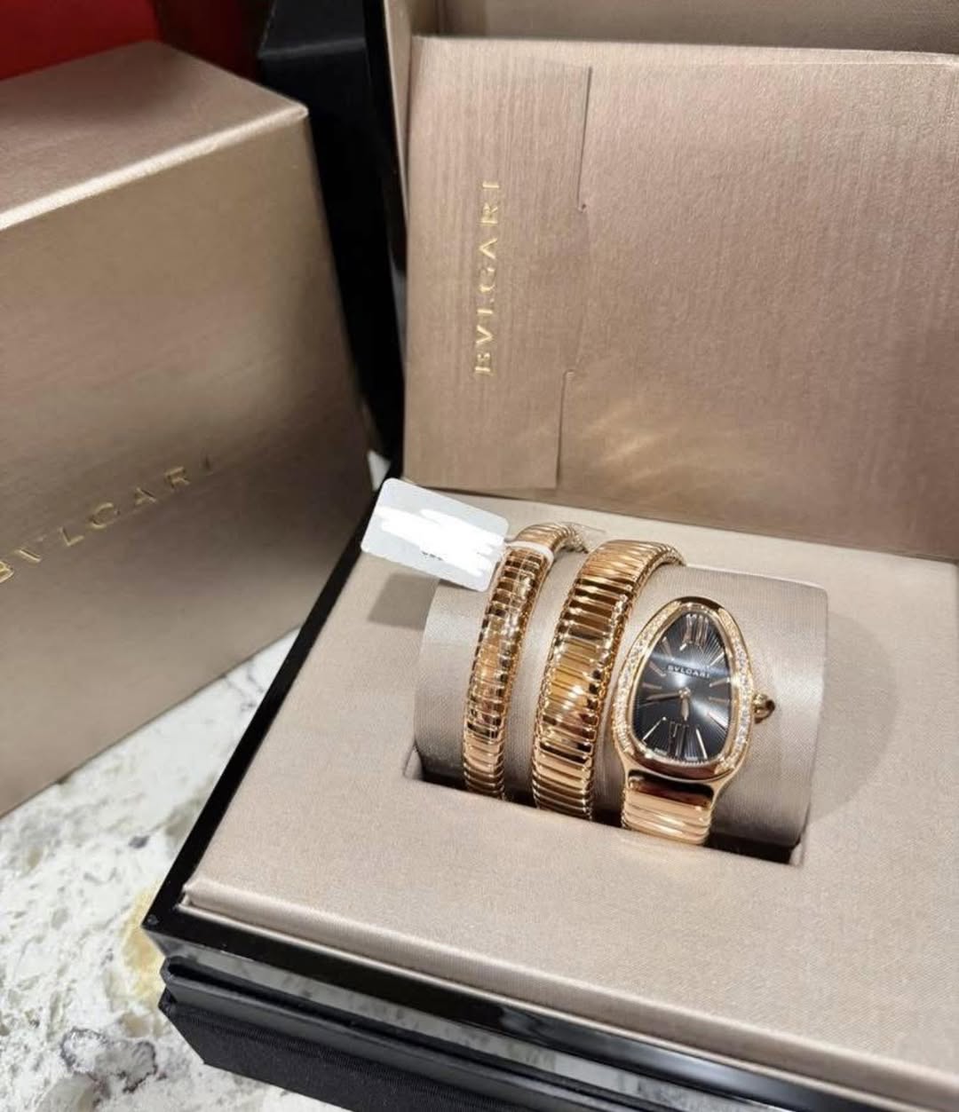 May be an image of wrist watch and text that says 'バ! 民 EVIGA'