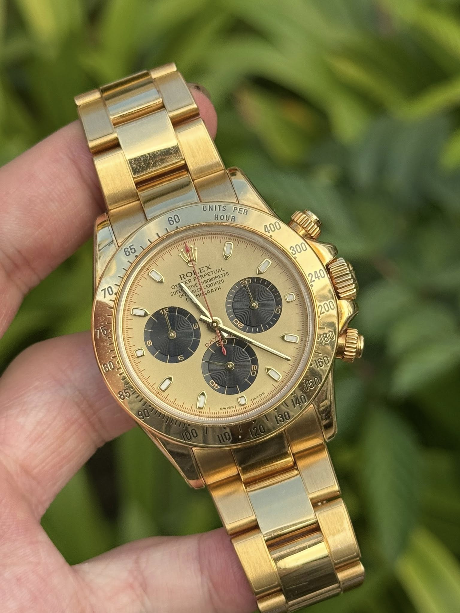 May be an image of wrist watch and text