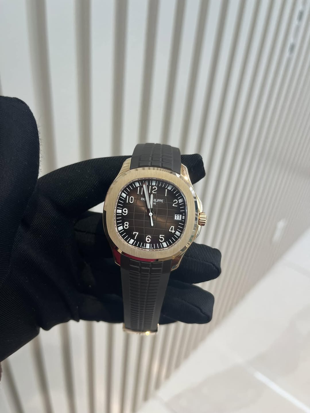 May be an image of wrist watch and text that says '数1 i 2 음\ I 10 PA LIPFE ANIL 6 ر1 1 11 5 管 V'