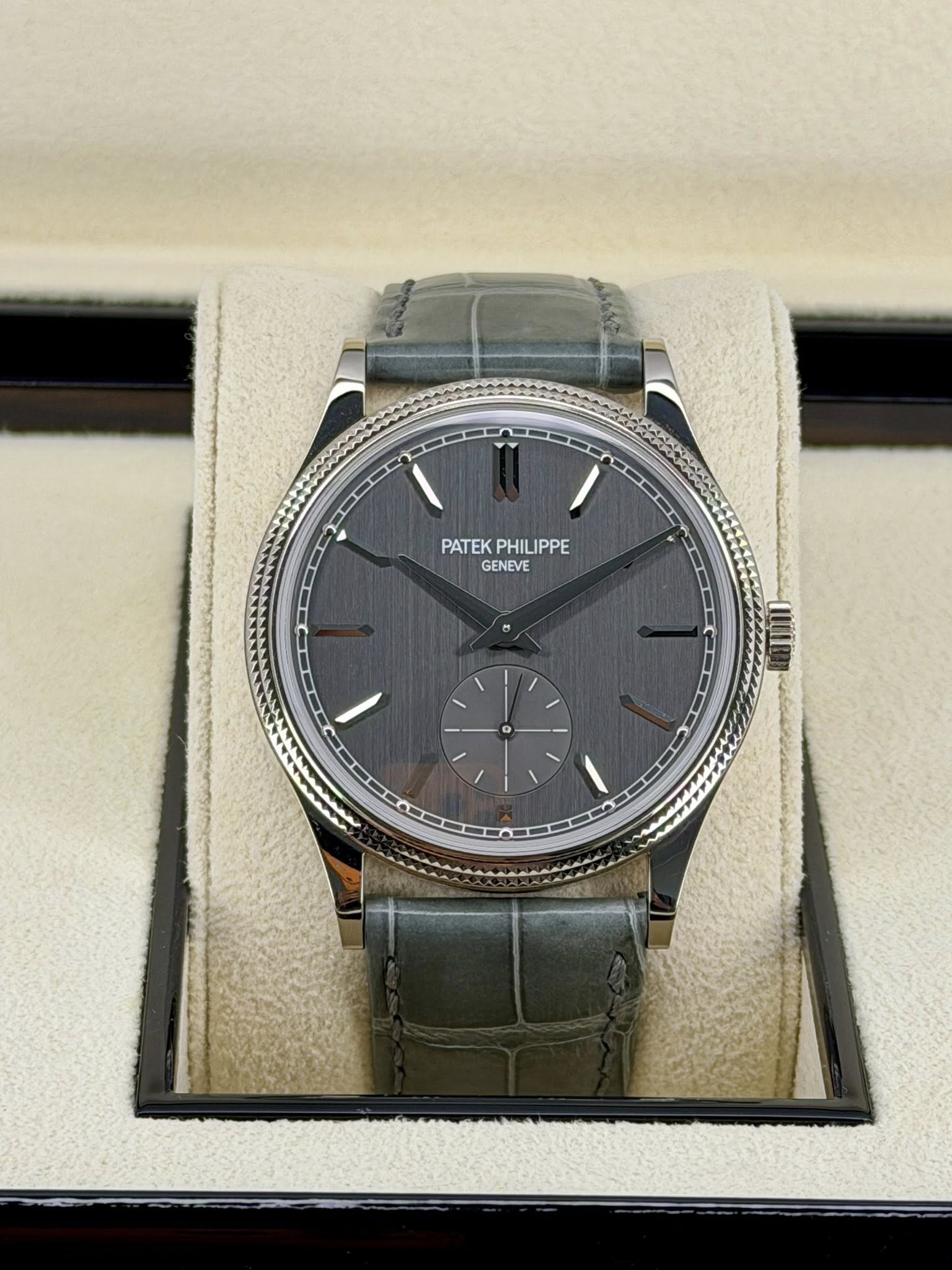 May be an image of wrist watch and text that says 'PATEK PATEKPHILIPPE PHIL PHILIPPE GENEVE'