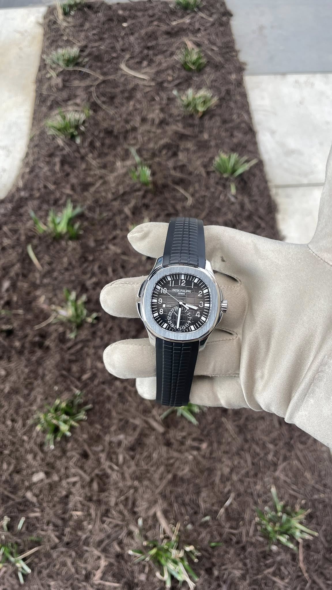 May be an image of wrist watch and grass