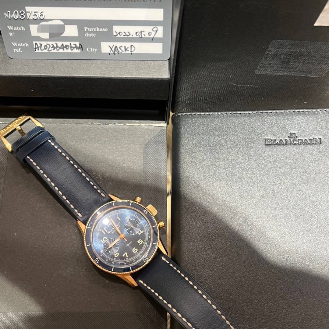 May be an image of wrist watch and text that says ' Watch n° Purchase ၁စ၁.၂ဖင date Watch AO2364063A City ref. XASKD BLANCPANN 45 45 17 S A 20 N T0 な '