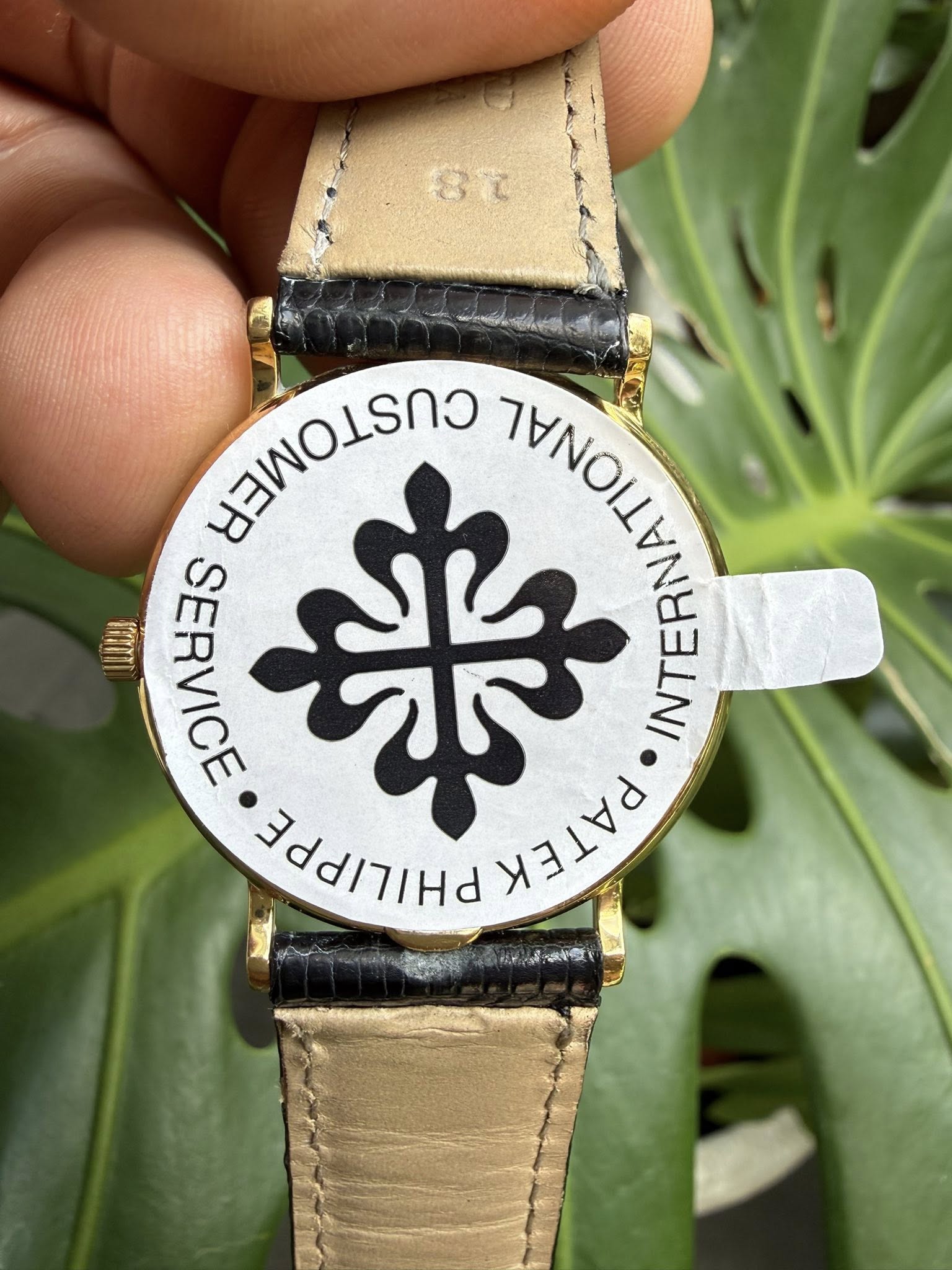 May be an image of wrist watch, leather and text