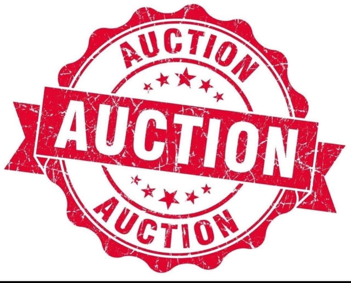 May be an image of text that says 'AUCTION AUC AUCTION AUCTION'