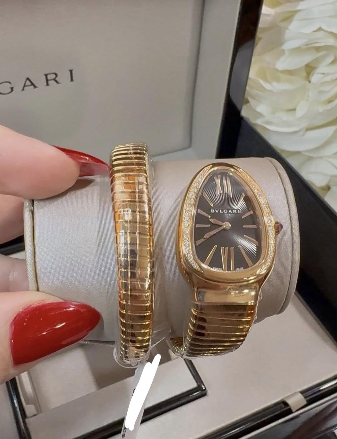 May be an image of wrist watch, jewelry and text that says 'ARI N BV VL LO BVLOA RI I DESEN - VI'