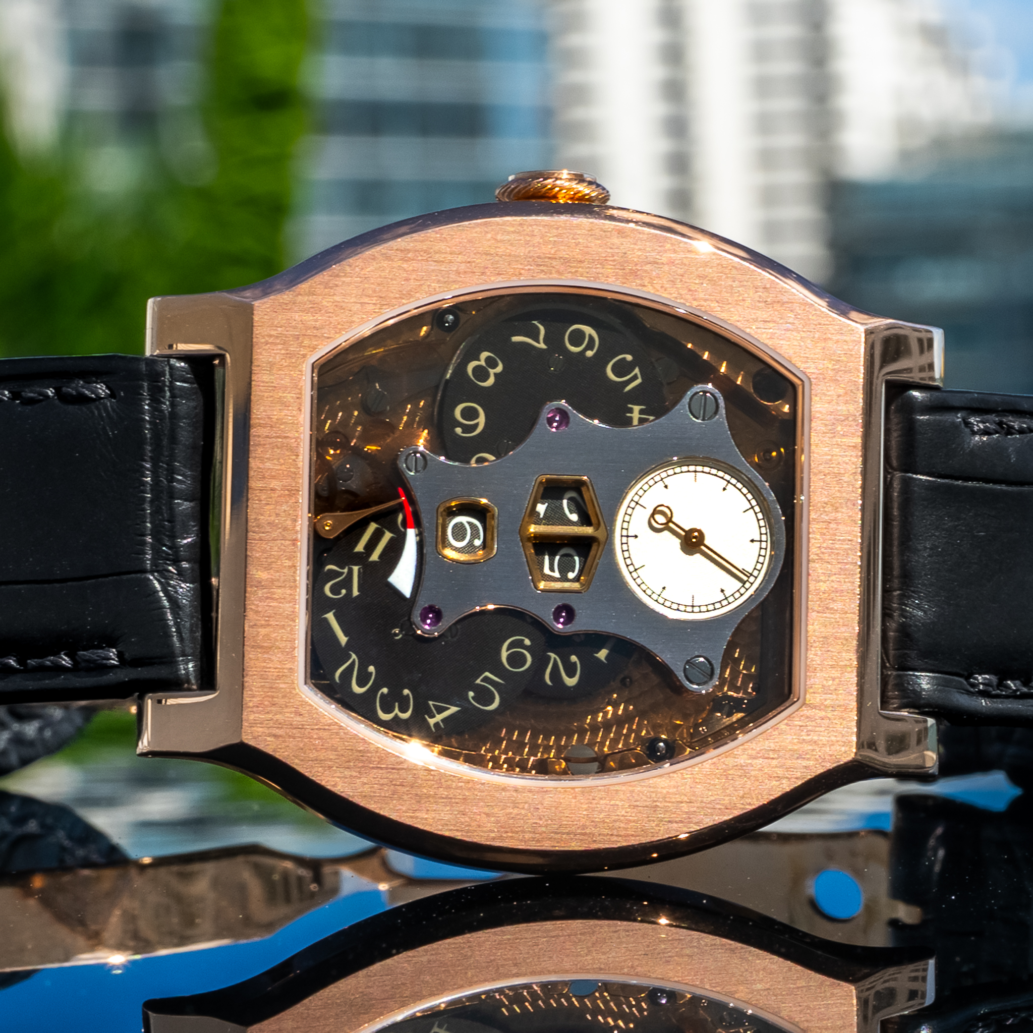 May be an image of wrist watch and text that says '+ टા o ഗ 0מ لل'