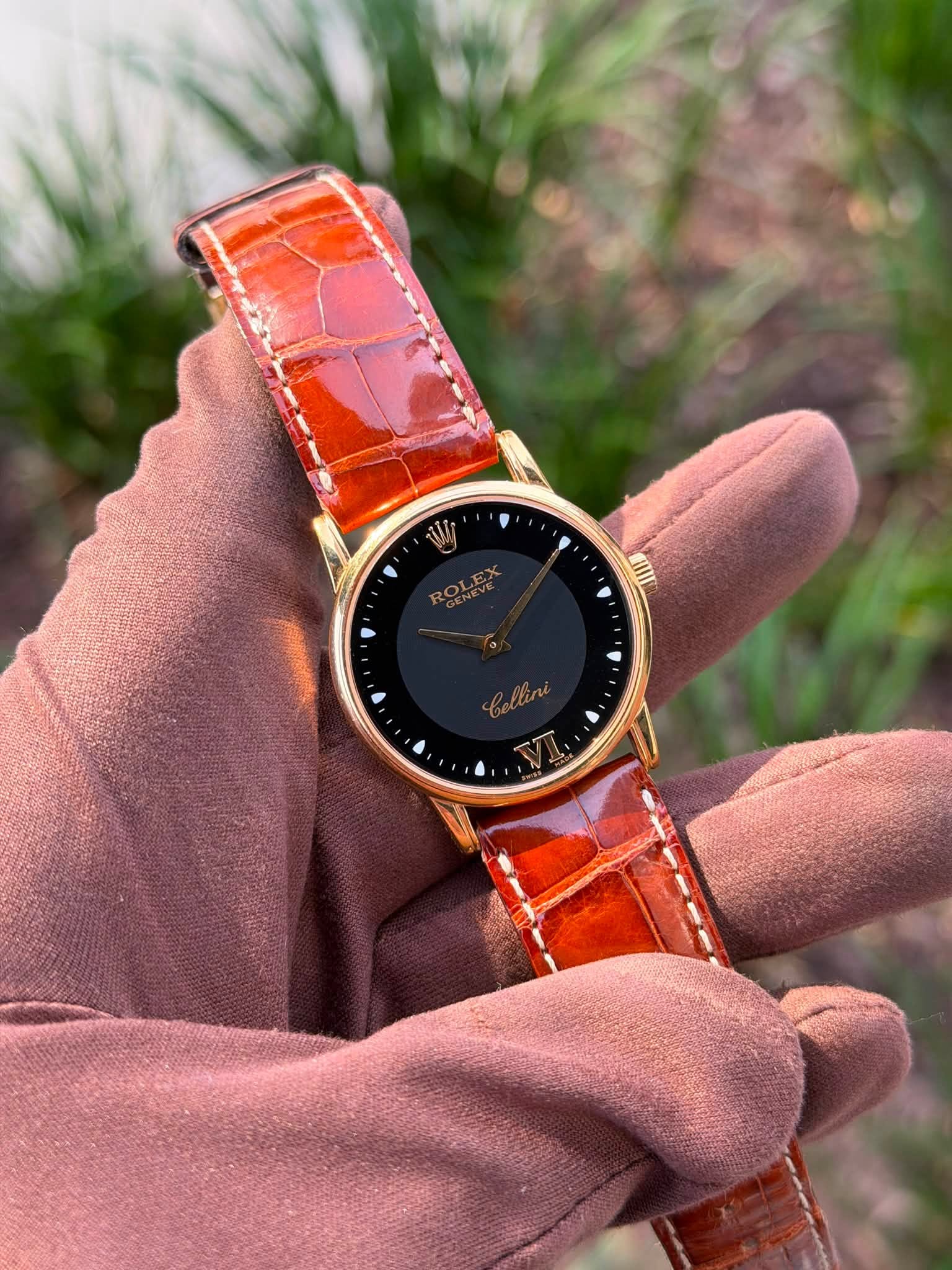 May be an image of leather, wrist watch and text that says 'W RONEVE bellini'