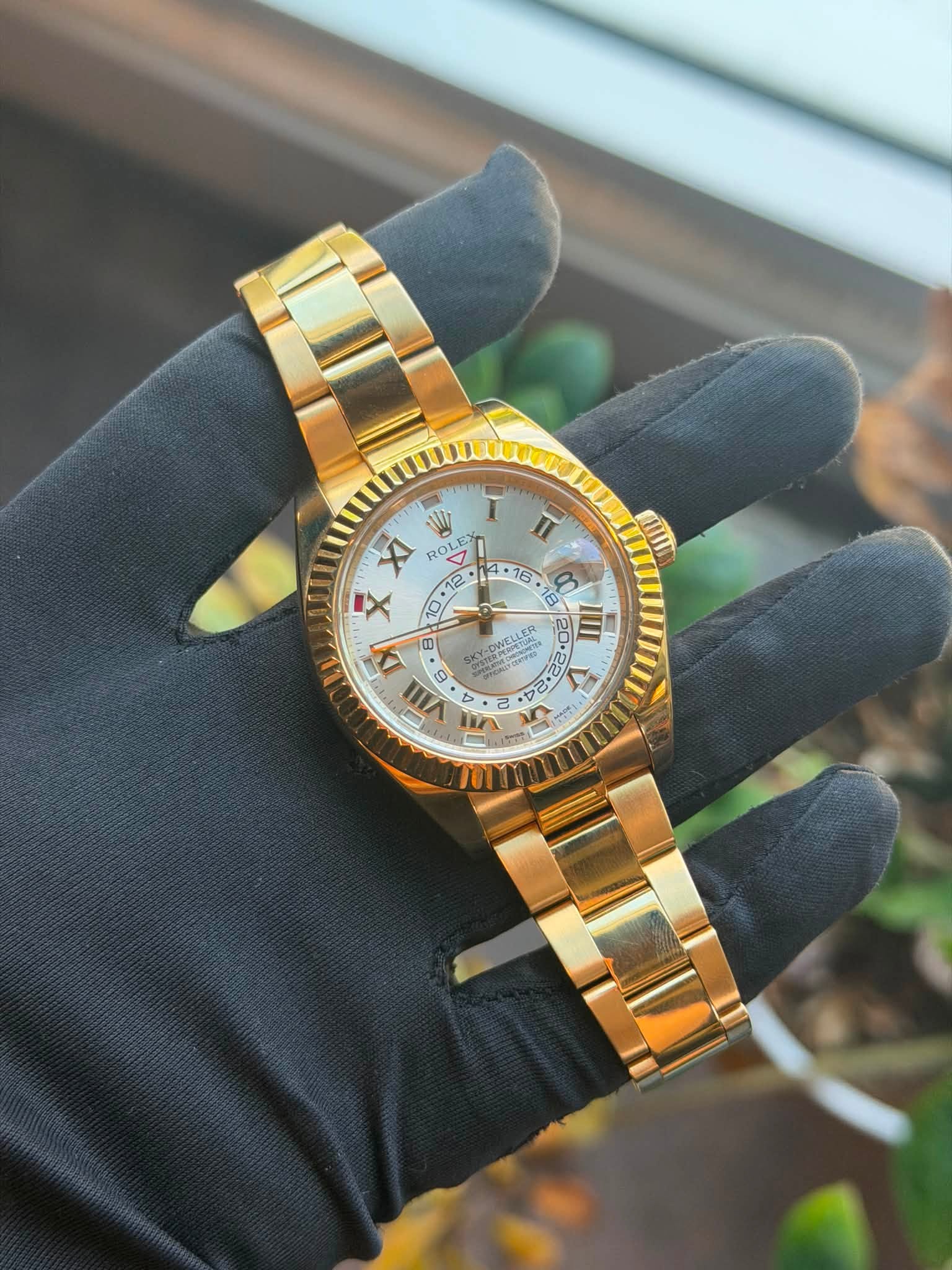 May be an image of wrist watch and text that says 'n XI ROL OL LE x 10 2 4 4 B VAII nEИЛ 砂 g මදි 20.2 อ ن 277'