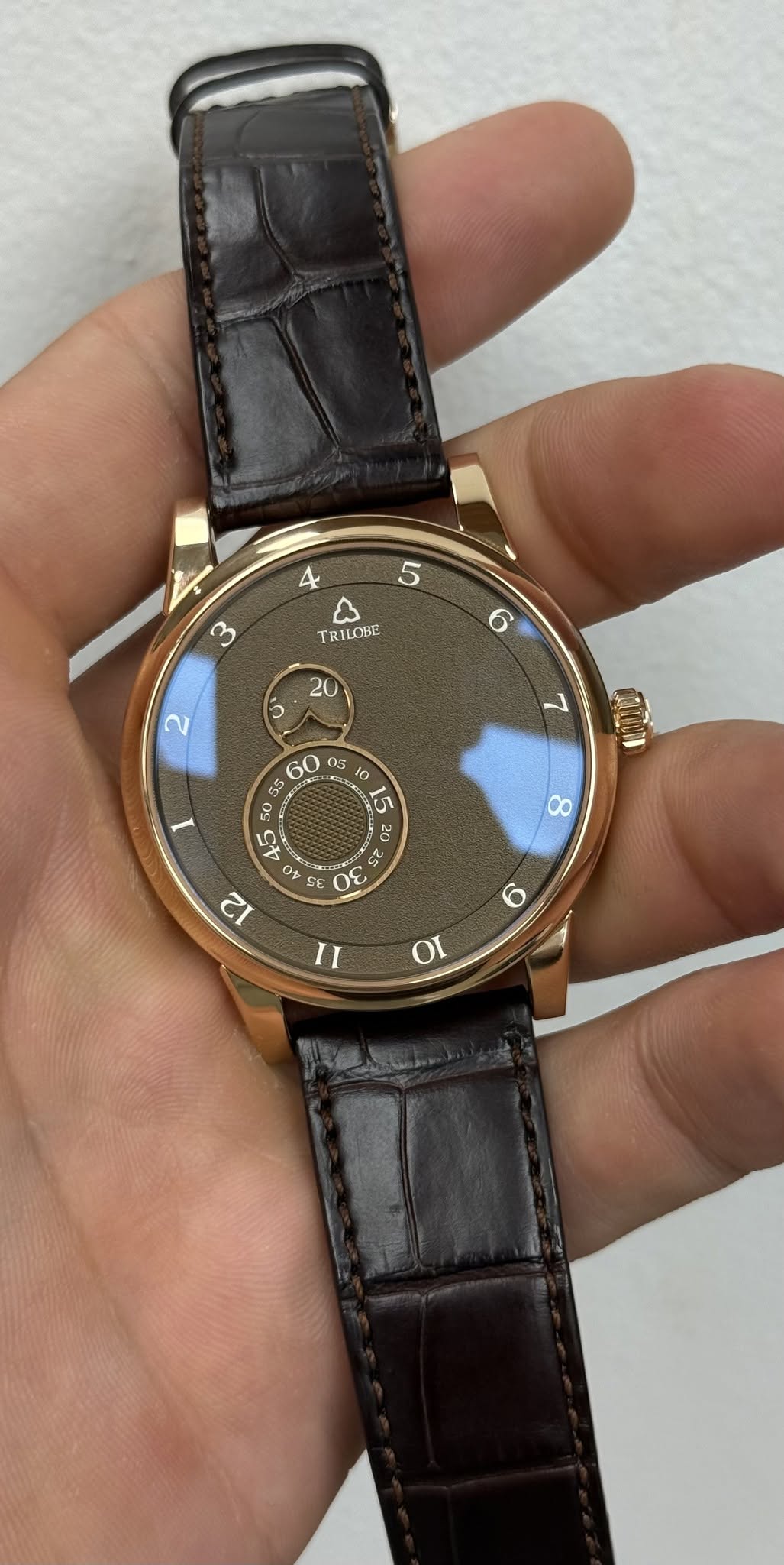 May be an image of wrist watch and text that says '5 4 as TRILOHE 3 6 20 လ 7 I 60 as S i هی M1 5 ហំ ል S 0 6 2 ۳ ον G N F SF E 0E 8 12 O = 01'