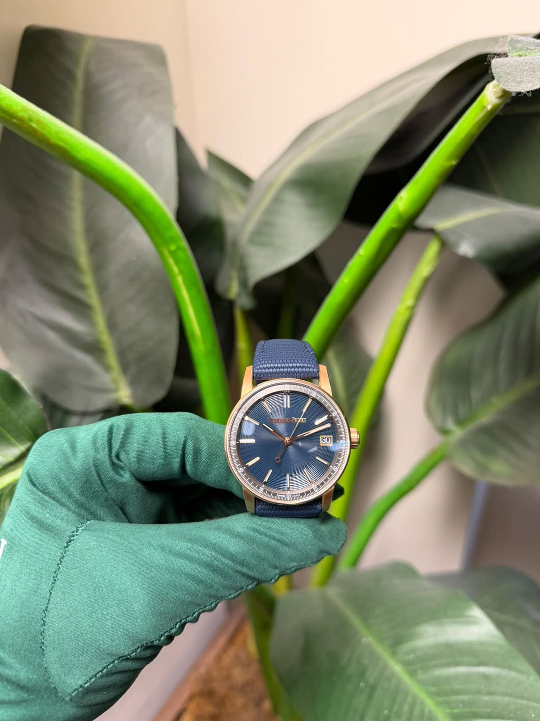 May be an image of wrist watch and text