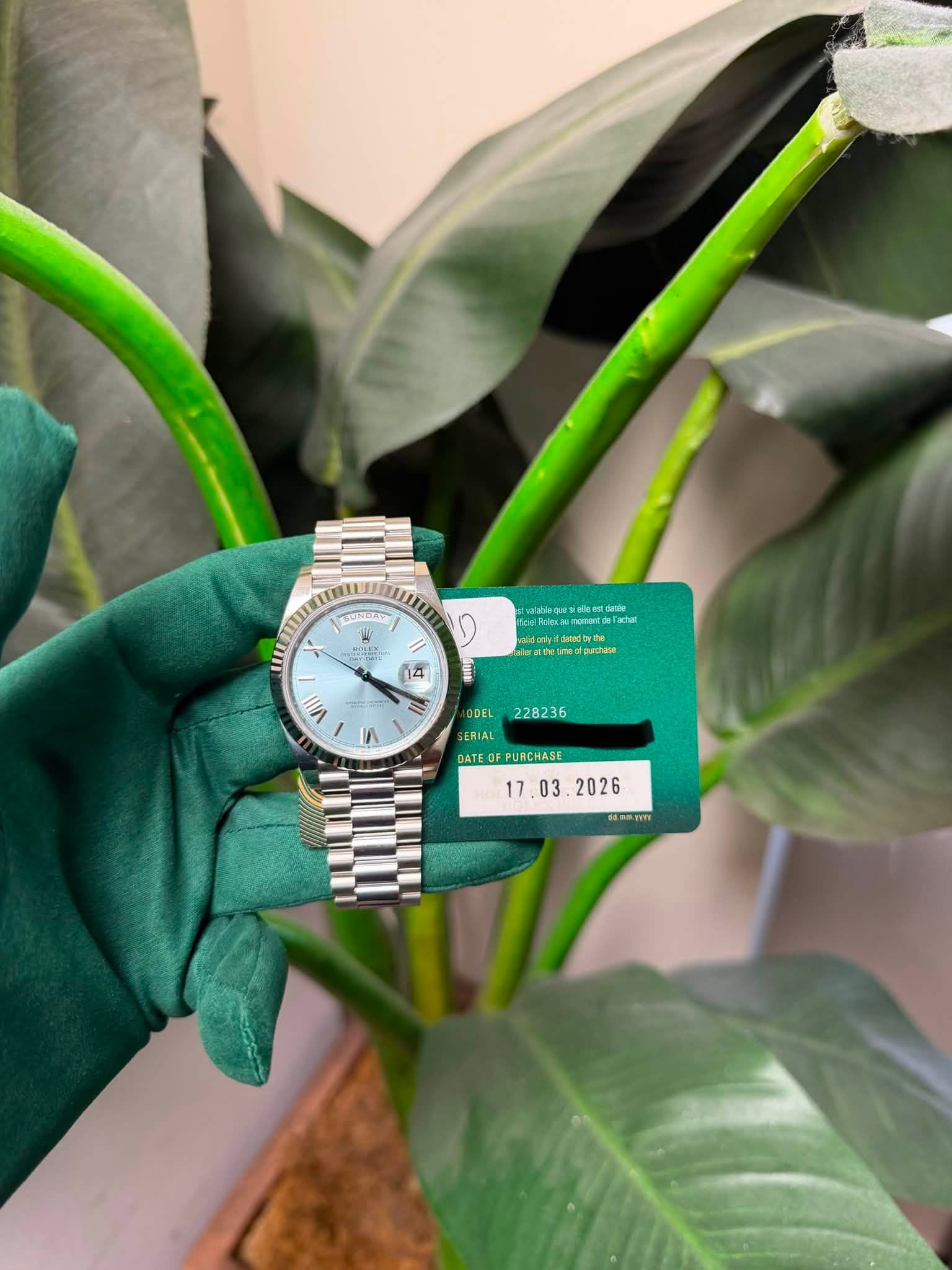 May be an image of wrist watch and text that says 'm11 UDAY อ 구리 RA 04 Vill 5 DEL 228236 ERIAL DATEOFPURCHASE PURCHASE DATE 6655TW 44'