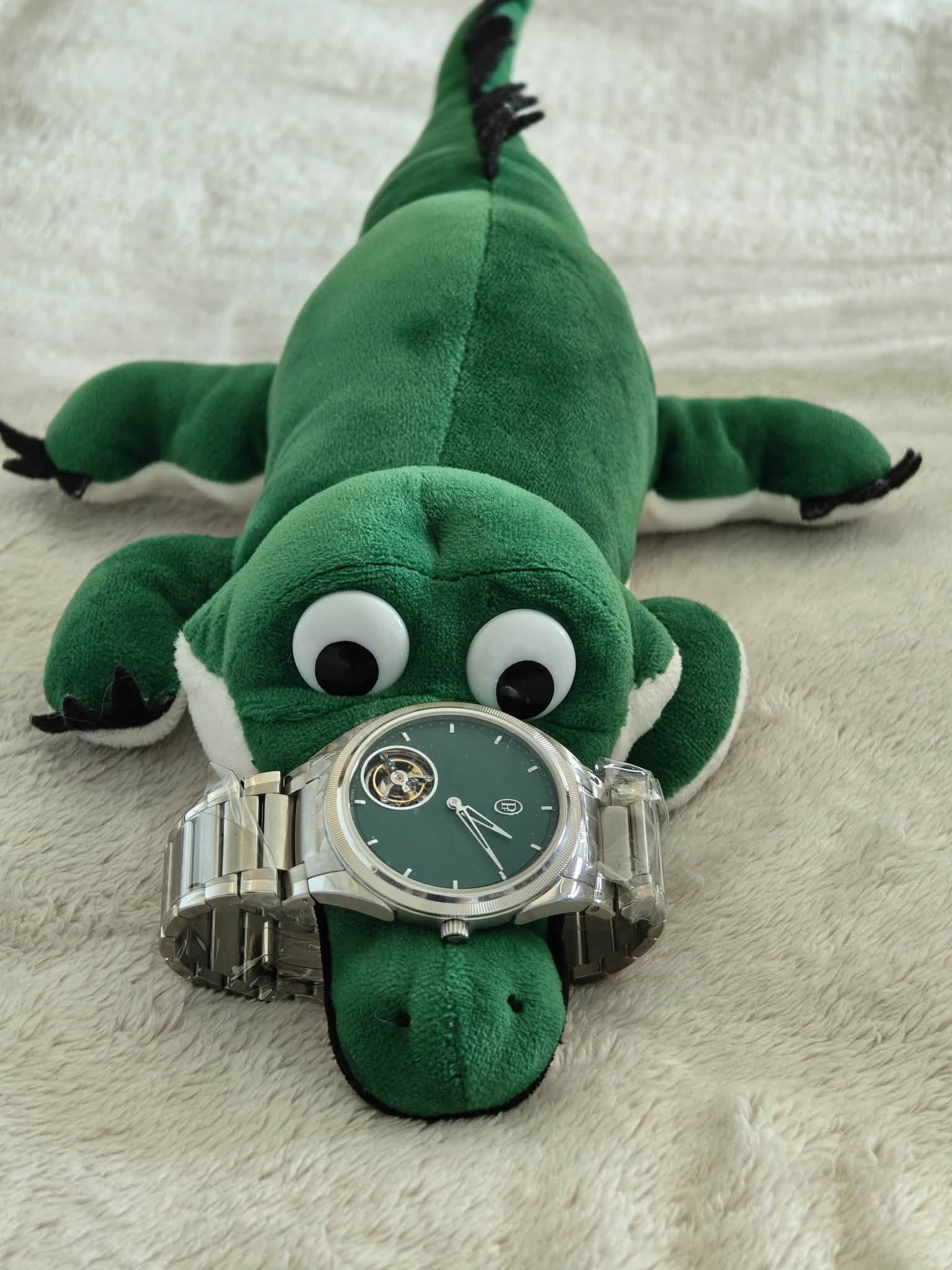 May be an image of crocodile, wrist watch and text