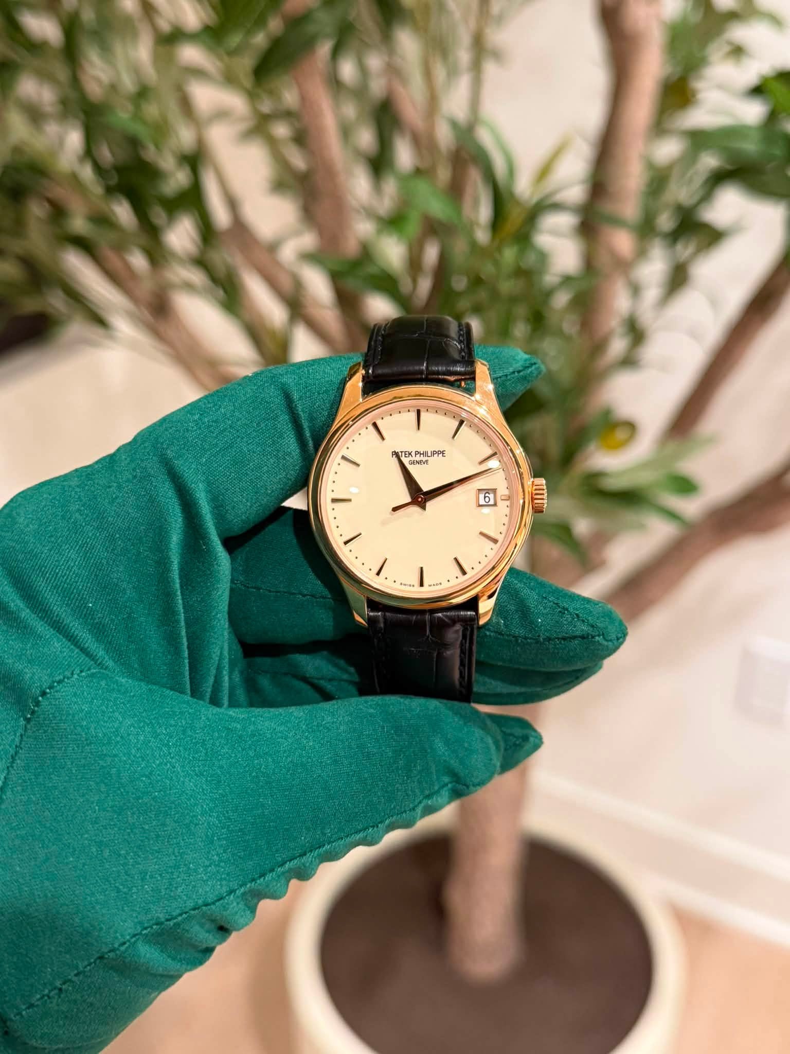 May be an image of wrist watch and text that says 'TEKPHILIPPE PPE NVE 6 ١ WT'