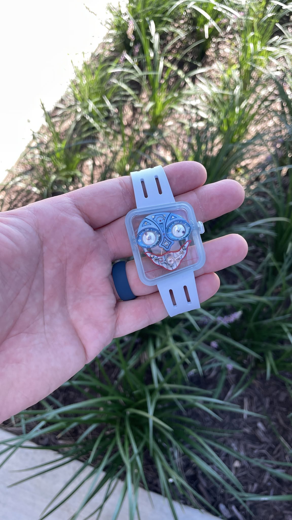 May be an image of owl