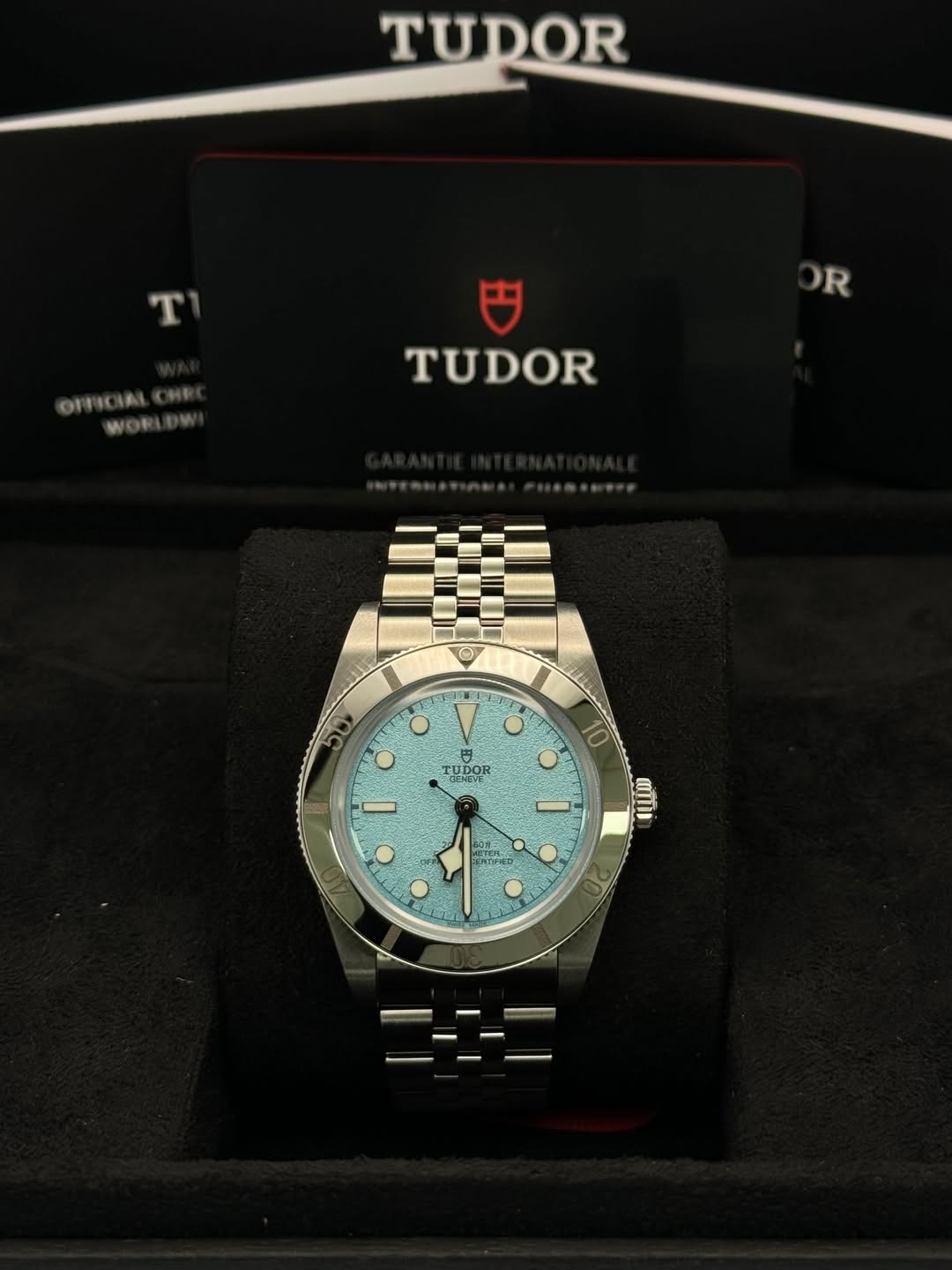 May be an image of wrist watch and text that says 'TUDOR T OIFICIALOHI R TUDOR O 日 TNOR J TUDOR DENEVE ወ'