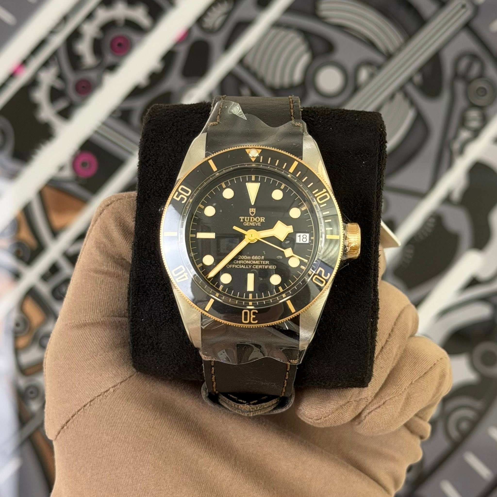 May be an image of wrist watch and text that says '50 TUDOR O ه DO 18 X 10 ١١ 精壓對 20 200e1660 TER 200660л FICIALLYCE T 40 ى 30'