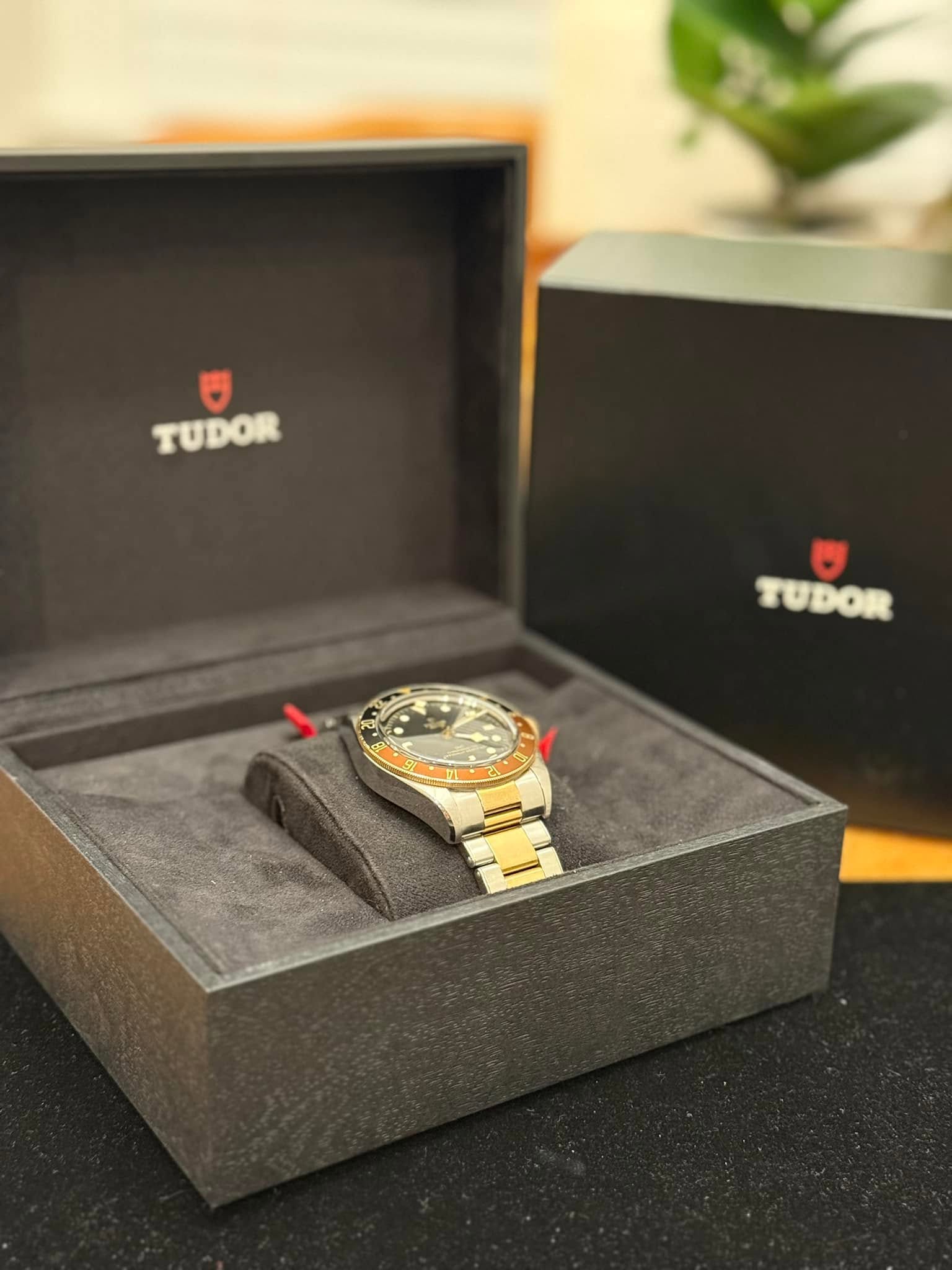 May be an image of wrist watch and text that says 'TUDOR TUDOR 0 TUDOR JUDON'