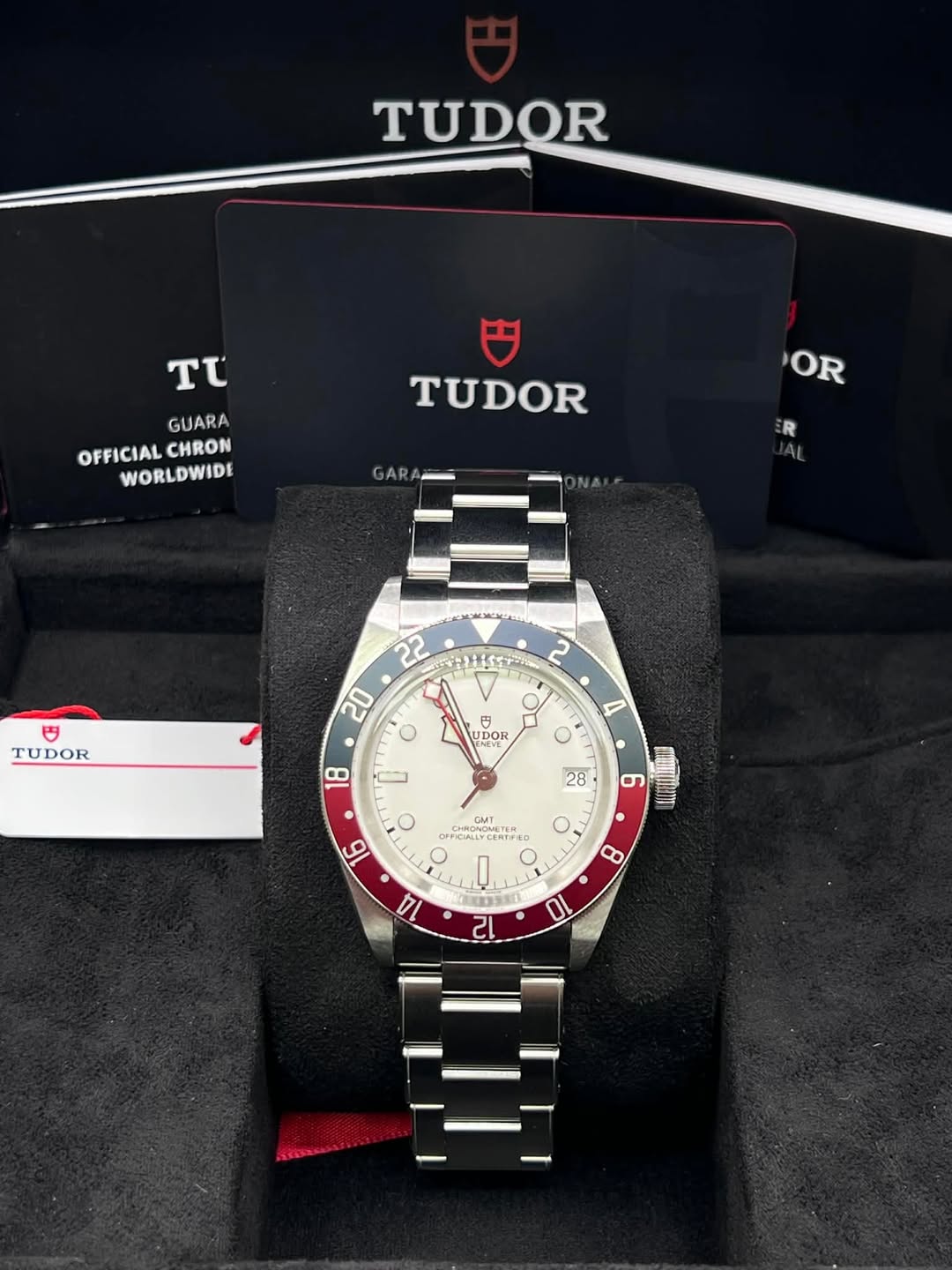 May be an image of wrist watch and text that says 'TUDOR t GUARA OFFICIALCHRON CHRON WORLDWIDE TUDOR OR R TUDOR 2 円 円 UDOR 22 20 ဝ ン O A 美 18 28 9 mEtR 16 CAVT CAT FFICIALLYE L D '