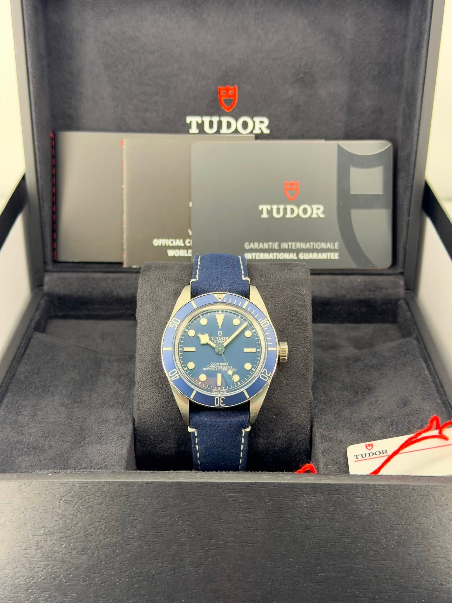 May be an image of wrist watch and text that says 'TUDOR TUDOR OFFICIALO WORLE GARANTIE SARANTIEINTERNATIONALE INTERNATIONALE INTERNATIONAL GUARANTEE 50 TpOP 40 20 30 TUDOR IDOR'