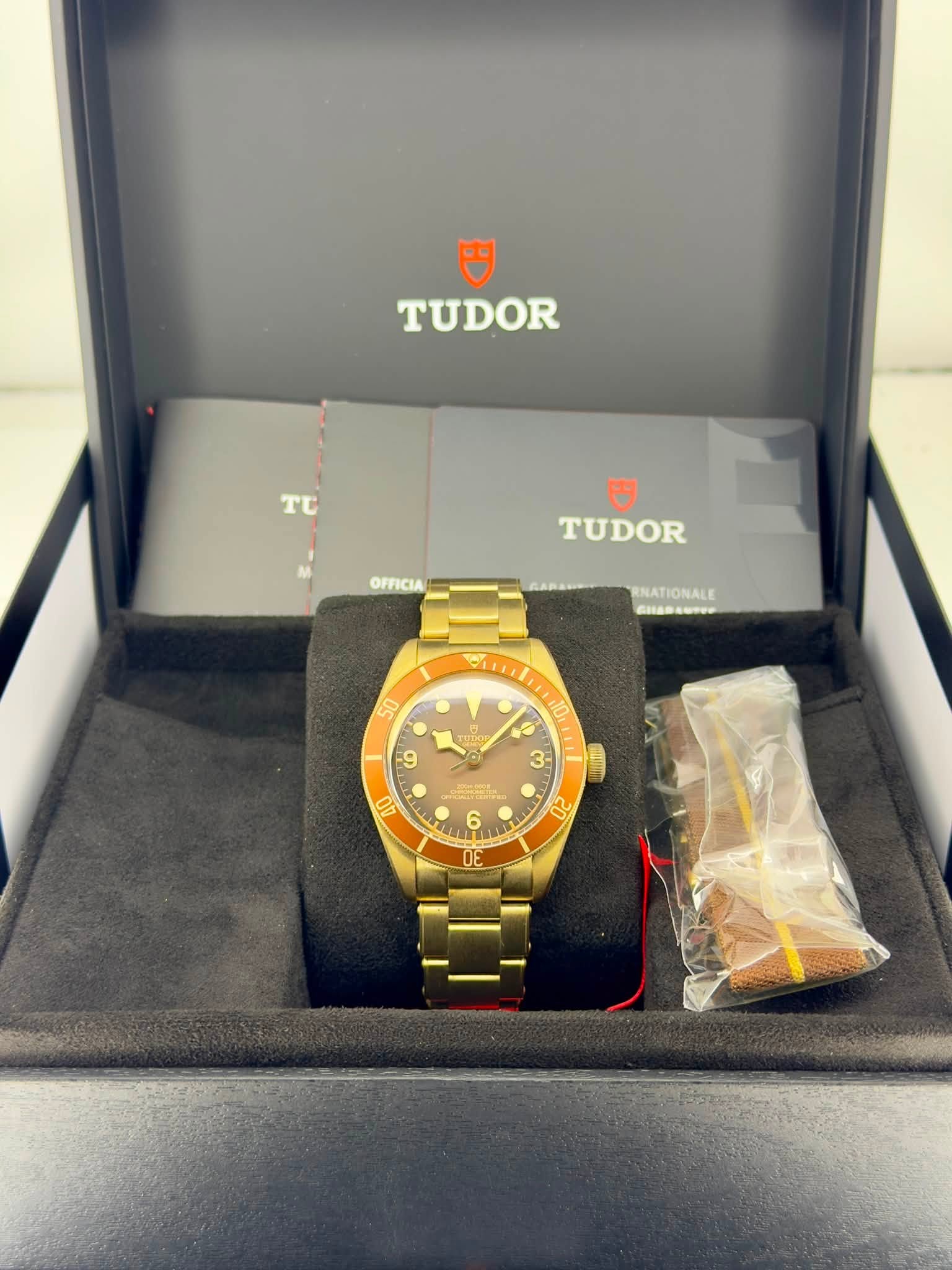 May be an image of wrist watch and text that says 'TUDOR Tt OFFICIA TUDOR RNATIONALE cHaoaoTue CHAB 50 T THL Ες enlin 10 0 3 9 د O 00 باست 6 二け LECL a 20'