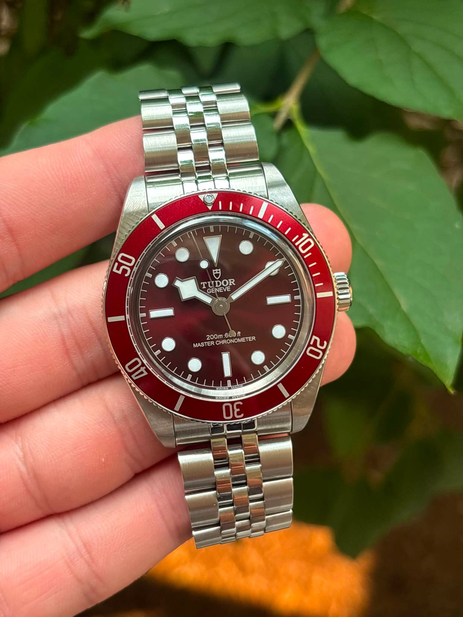 May be an image of wrist watch and text that says '50 10 円 TUDOR TT GENEVE യ 200m W200MAOHOMETER 00m METER MASTE MASTERCHN 40 20 30'