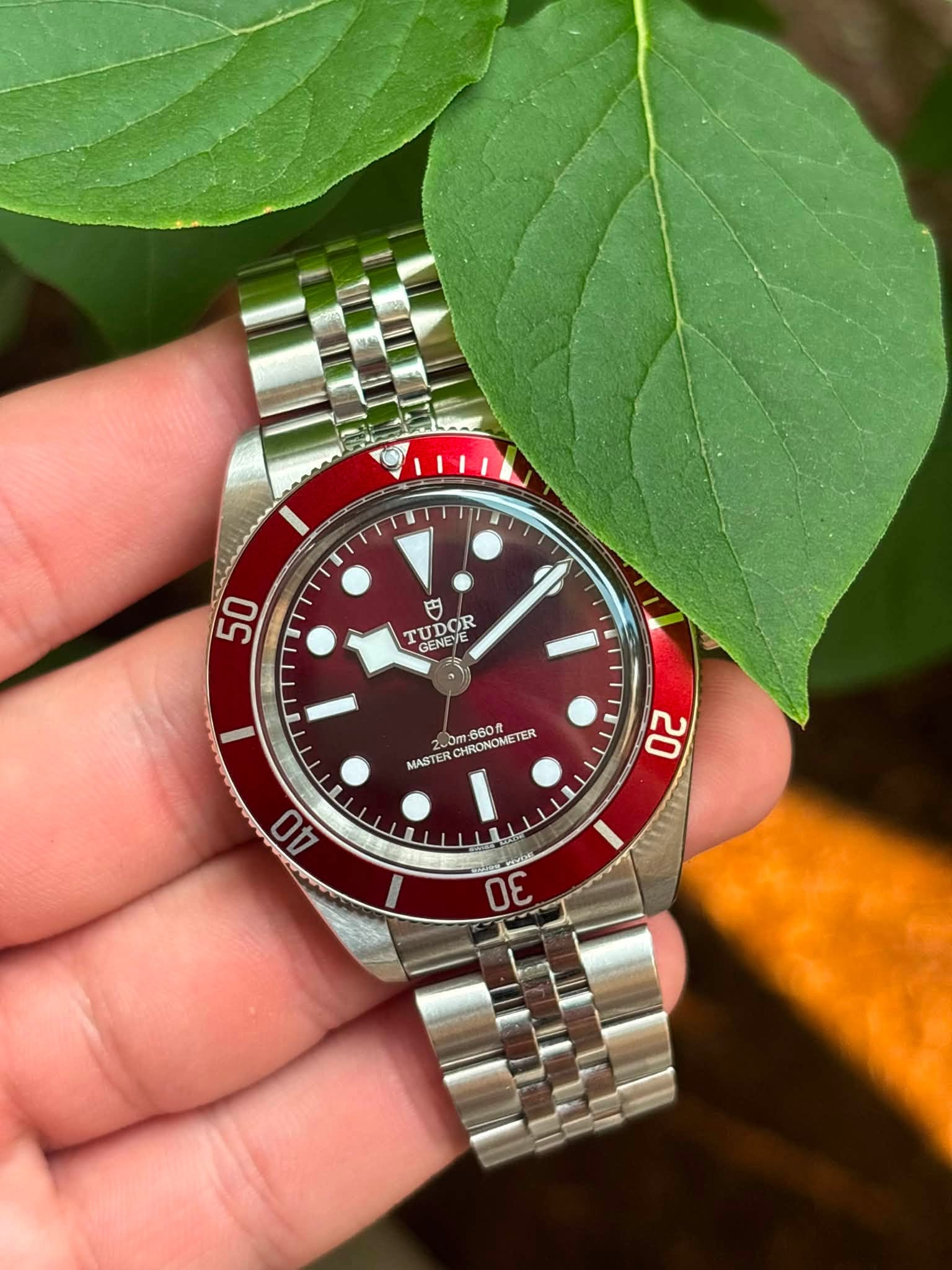 May be an image of wrist watch and text that says '111 50 守 TUDOR ENEYE E GENEV/E 200m ודור 460 RONOME TER MAST MASTE 20 40 I 30'
