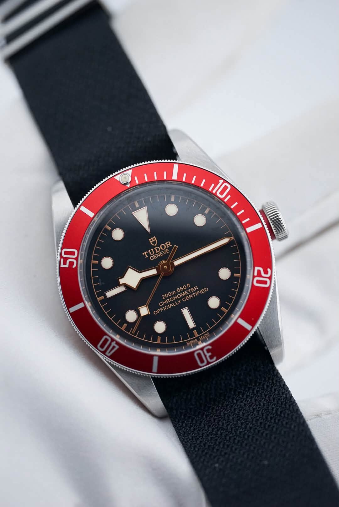 May be an image of wrist watch and text that says '10 50 GENE GENEVS TUDOR GENE CENE 660# ER IEO 200m. 20 40 30'