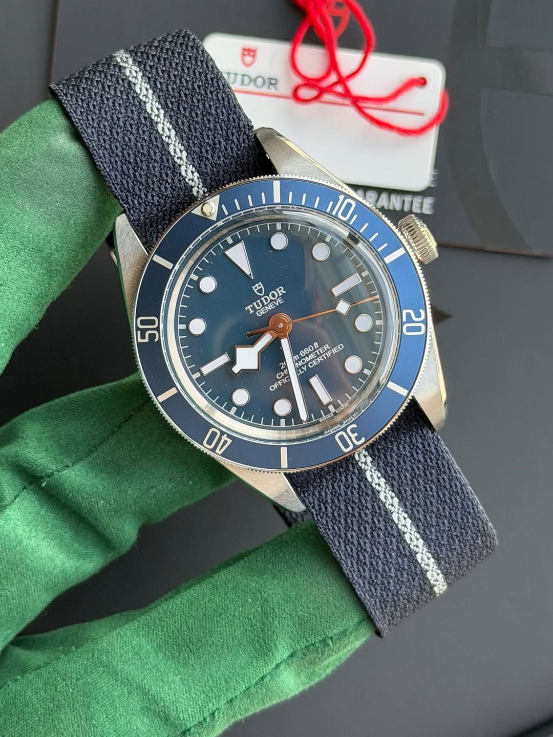 May be an image of wrist watch and text that says 'प UDOR 10 ANTEE TUDOR TUDOK GENEVE GENEVE 円 度 660FB OMETER 6600 NO CERTIFIED CERTIF MESTICIED ETER IFIED ED 4 سامه OFFIC AO…