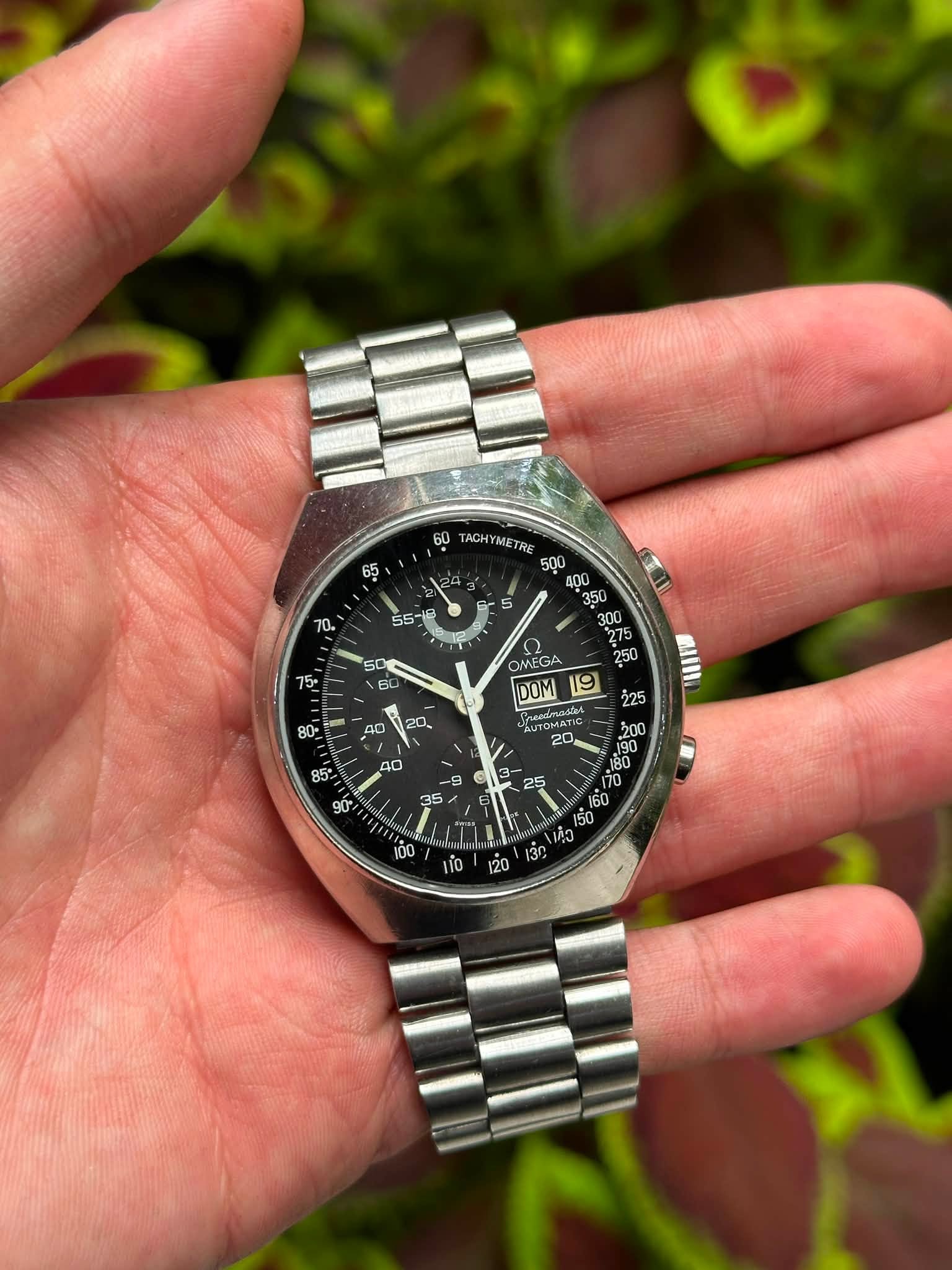 May be an image of wrist watch and text that says '60 TACHYM ET ETR E OMEGA 250 DOM 19 မီး်နွ် rendnaa ° 9 G / 100 ن 0 မ်ီ0 អំ '