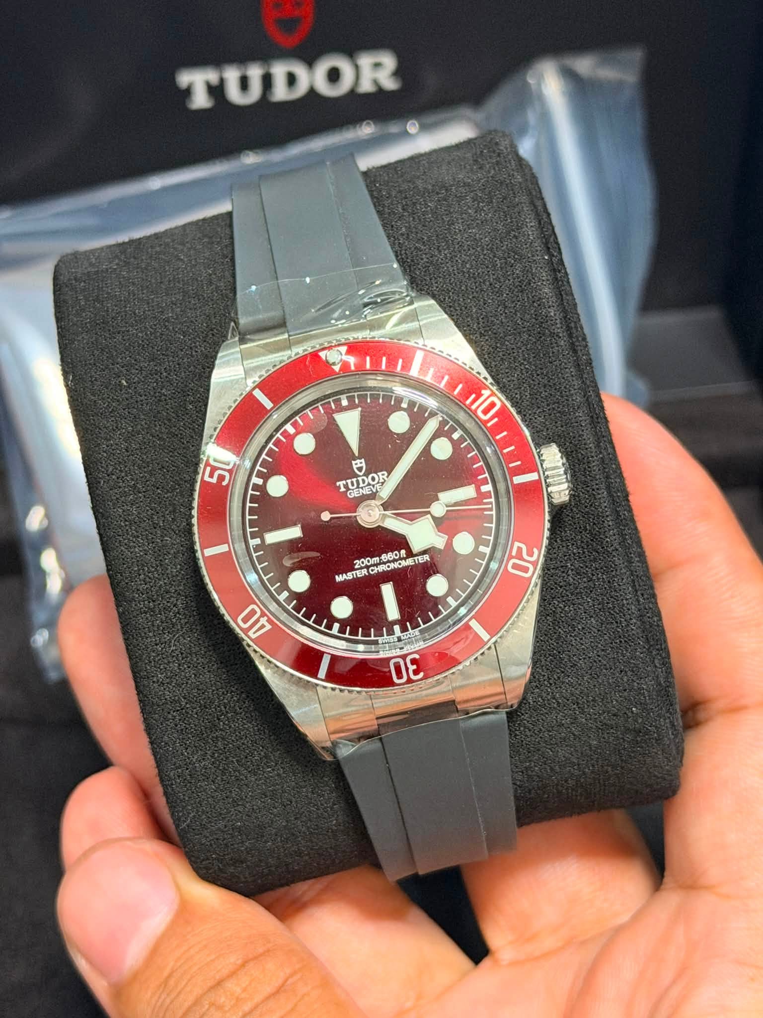 May be an image of wrist watch and text that says 'TUDOR 10 50 TUDOR UP GENEVE 200m HRONOME 1:060 MASTER HRO CHRONOMET TER 20 40 30'