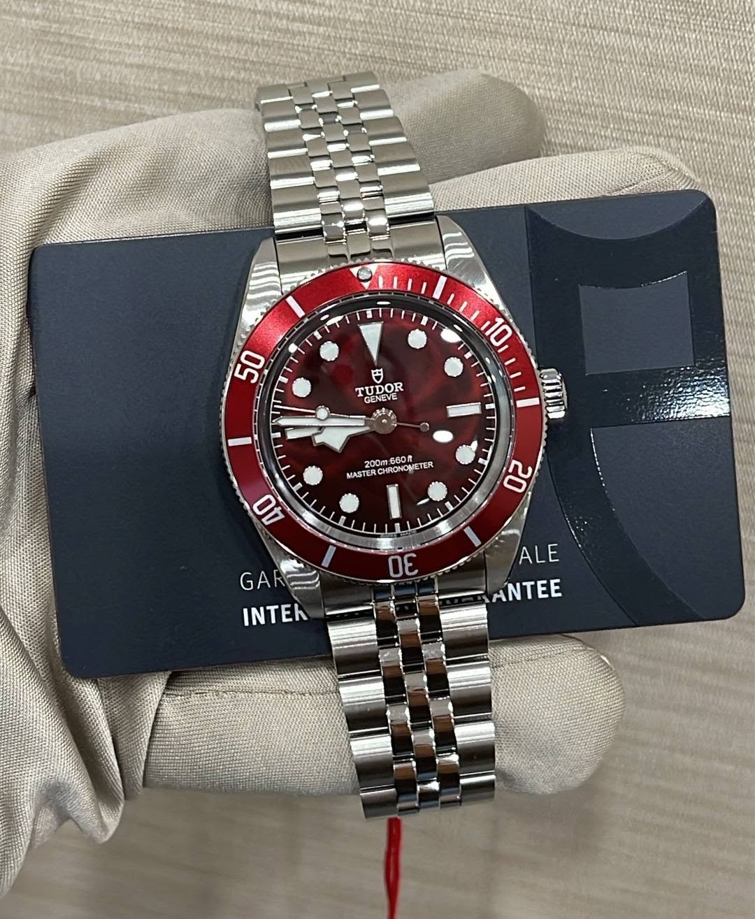 May be an image of wrist watch and text that says '50 10 守 TUDOR TUDO DOR GENEVE GENEVE ae 時イ 200m.580 ONETER STERCHNON AO 20 G GA A INTEK 30 ALE ANTEE'