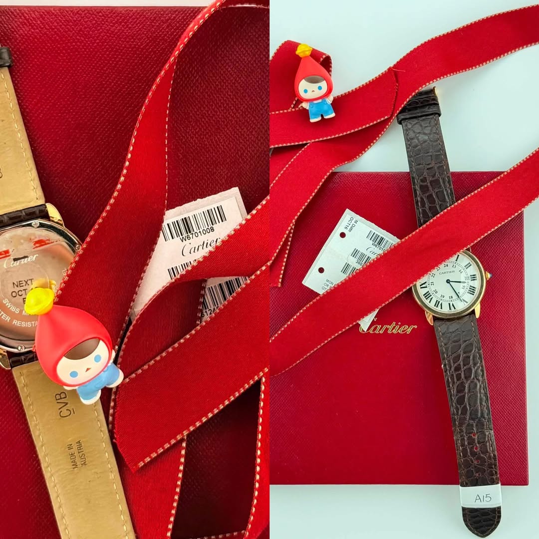 May be an image of leather, wrist watch, saddle-stitched leather and text