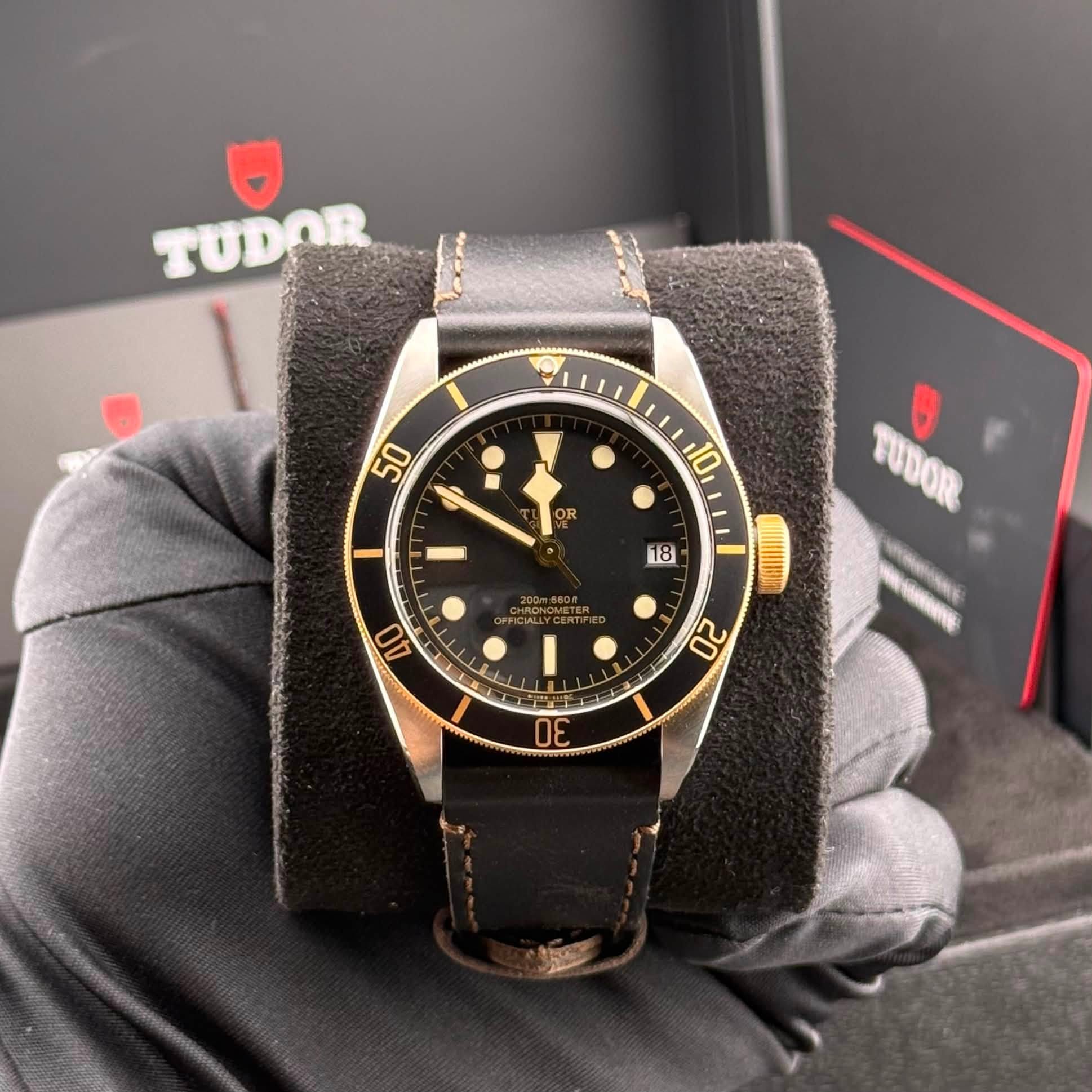 May be an image of wrist watch and text that says 'TUDAR TUDOR 50 10 OR 18 TUDOR FUDOR CAYCERTP YCE ISSA AO 20 30'
