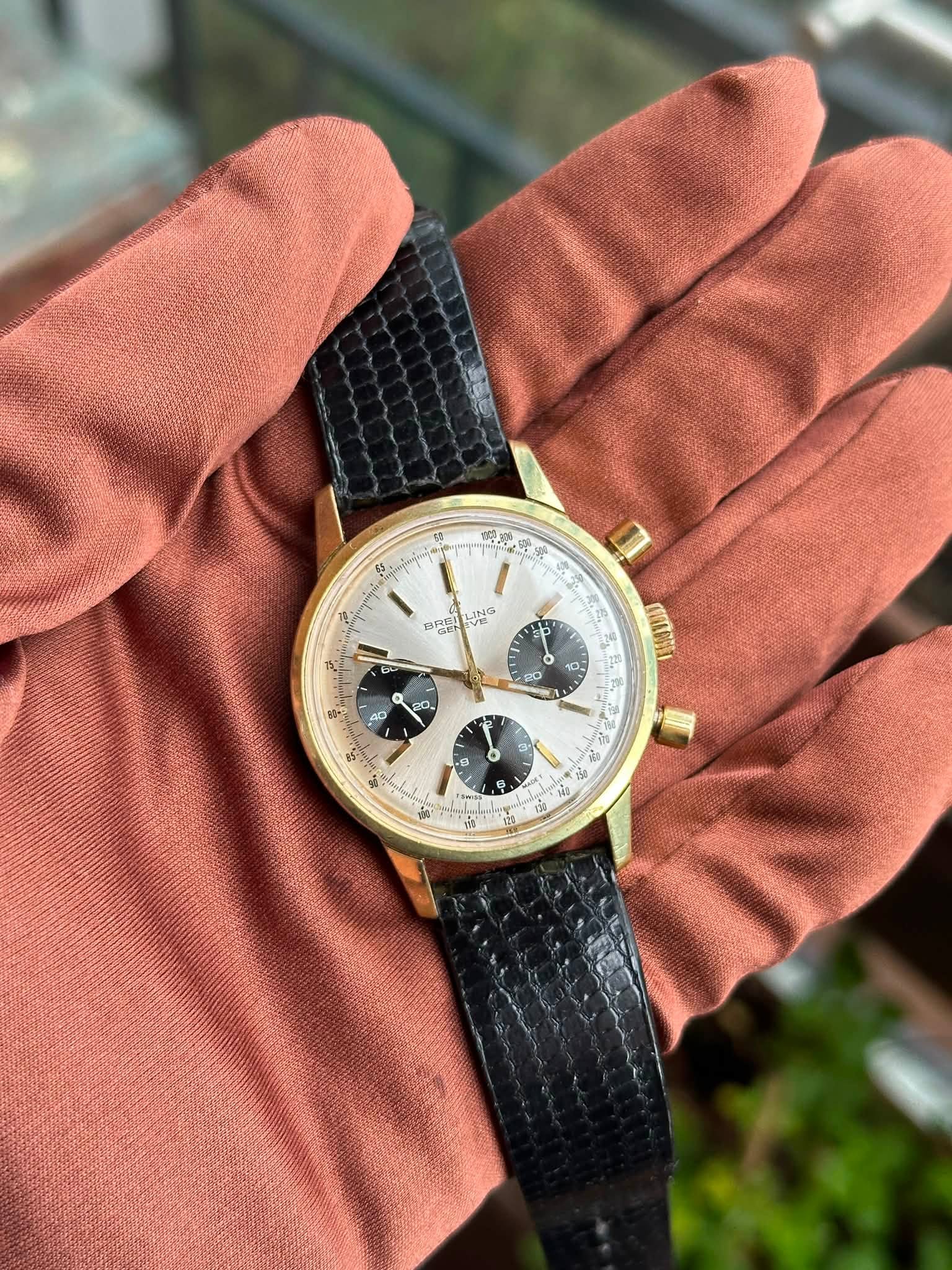 May be an image of wrist watch