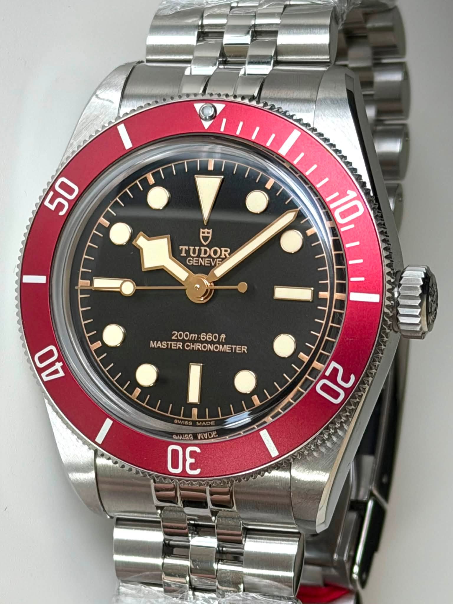 May be an image of wrist watch and text that says '50 TUDOR GENEVE 10 200m 200m:660R 660f MASTER ER CHRONOMETER I 40 מווח! 20 AVDE జ'