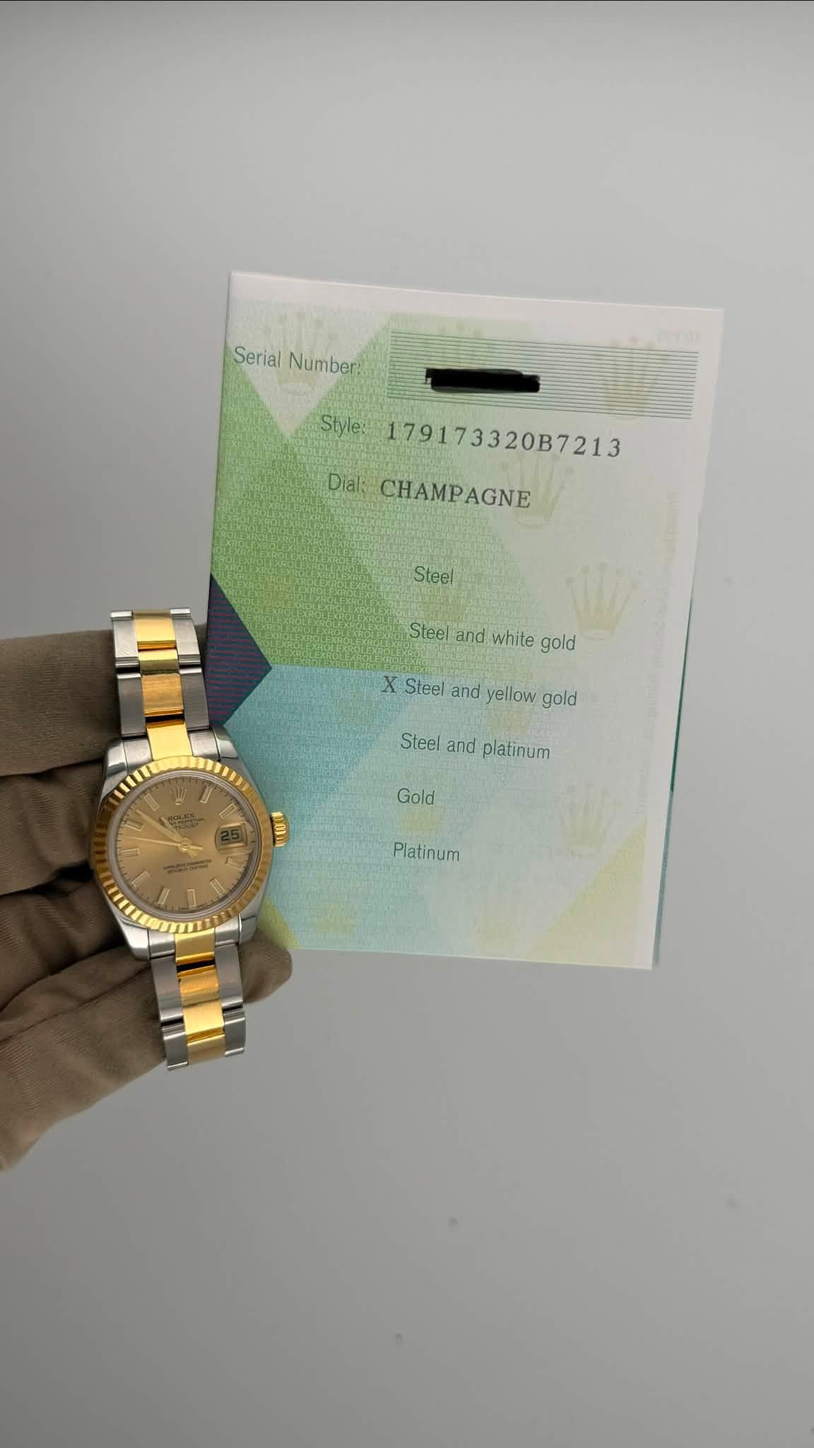 May be an image of wrist watch, money and text that says 'SerialNumber Serial Number: Style: 179173320B7213 Dial: CHAMPAGNE AGNE Steel Steel Steelandwhitegold and white gold…