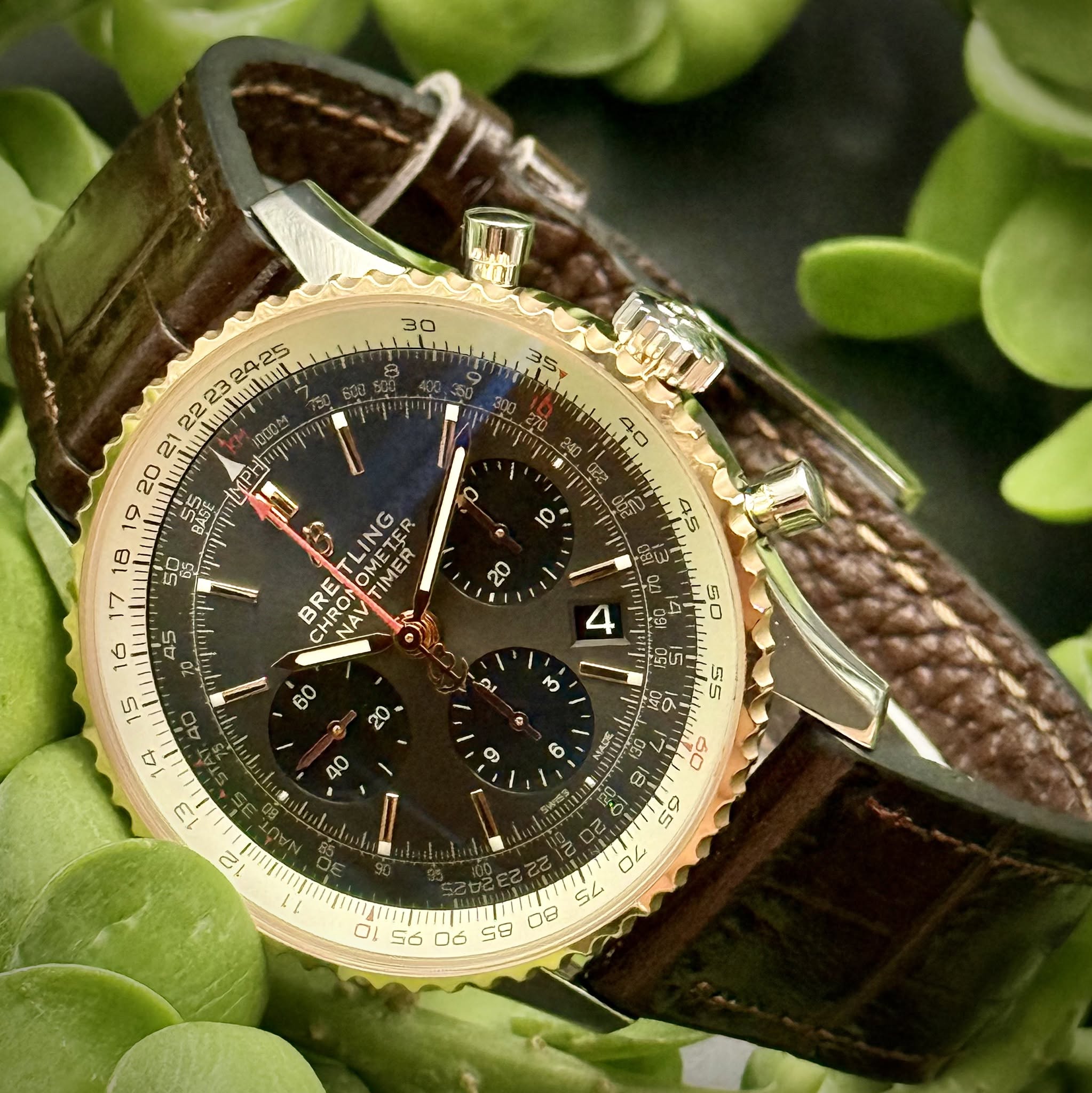 May be an image of wrist watch and text