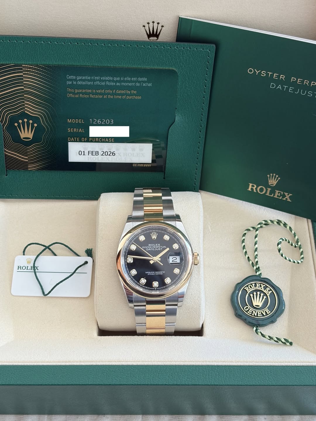 Rolex Datejust black diamond dial 126203