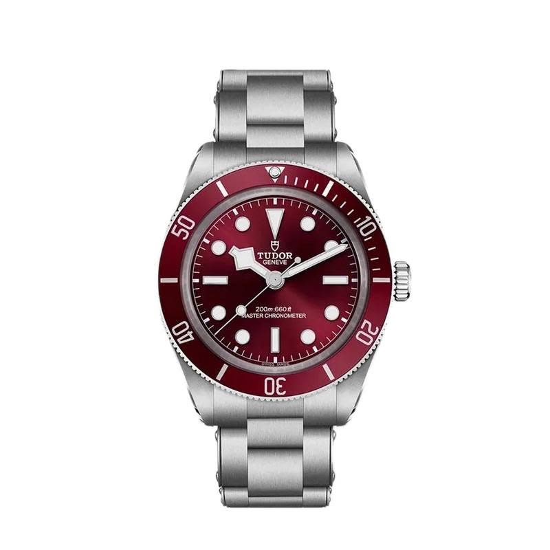 May be an image of wrist watch and text that says '50 円 t TUDOR 10 200m.6Goft RCHRONOMET RONCM TER Ao σW 20 30'